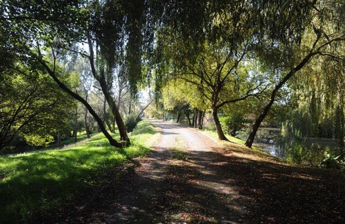Saint-Bonnet-sur-Gironde Casa | La Petite MARVINIERE