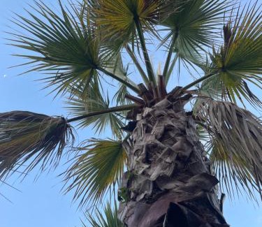 Chartres-de-Bretagne Casa | La petite maison dans la jungle