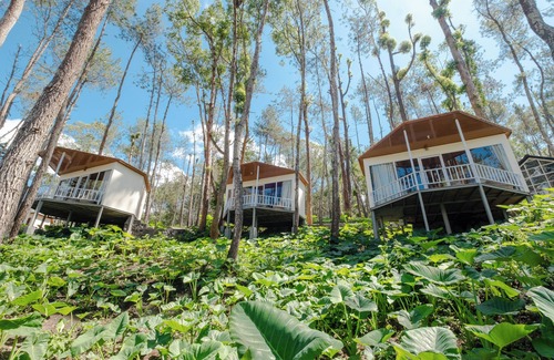 Kintamani Cabina | La Pino Mount Batur and Hot Spring