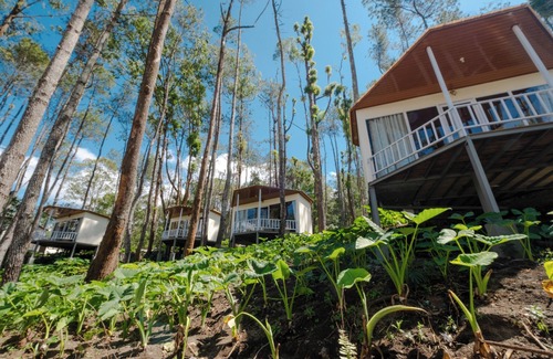 Kintamani Cabina | La Pino Mount Batur and Hot Spring