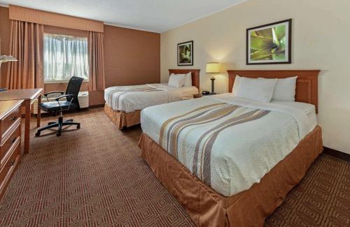 Tampa Hotel | La Quinta by Wyndham Tampa Brandon West