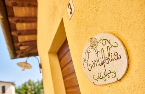 Citta di Castello Apartamento | La Rosa