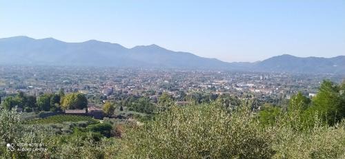 Nozanno Casa | la stanza del sole