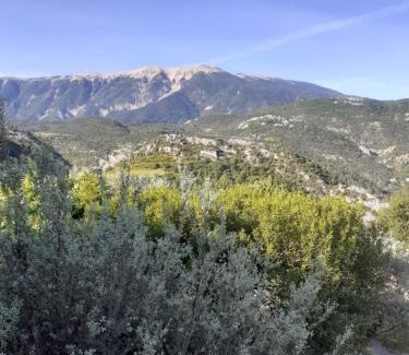 Plaisians Cama Y Desayuno | La tonnelle