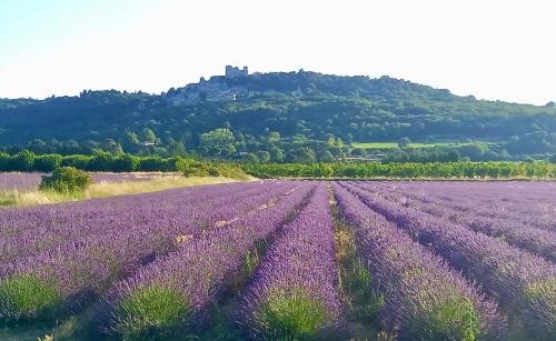 Lagnes Casa | La Villa 1777