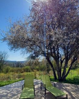 Minzier Casa | La Villa Lions I T5
