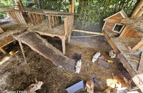 Pereira Chalet De Esquí | La Villa Roja