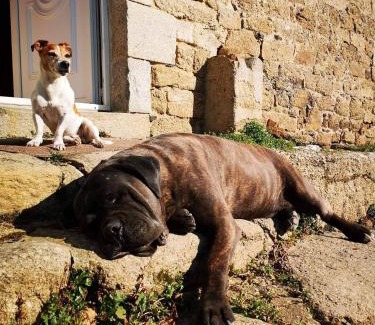 Landehen Casa | La Ville Tanet