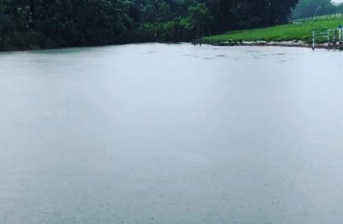 Olimpia Otro | Lago da Rosa
