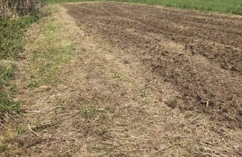 Pownal Casa | Laidback Paradise. Kid, Pet, and Party Friendly.