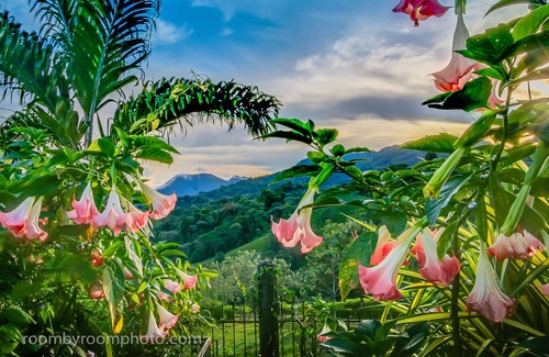 El Millón Chalet De Esquí | Lago Arenal: impresionantes vistas del lago, el volcán y la jungla.