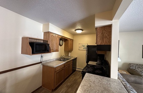Eagle River Condominio | Lake Forest Resort – Relax on a Pristine Sandy Beach in the Northwoods!