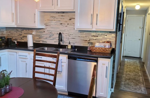 Webster Cabina | Lake Front 3 Bedroom cabin with FREE use of pontoon.