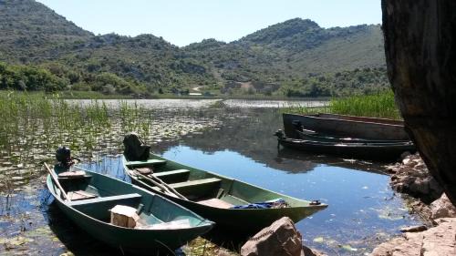 Dodosi Casa | Lake house Puro