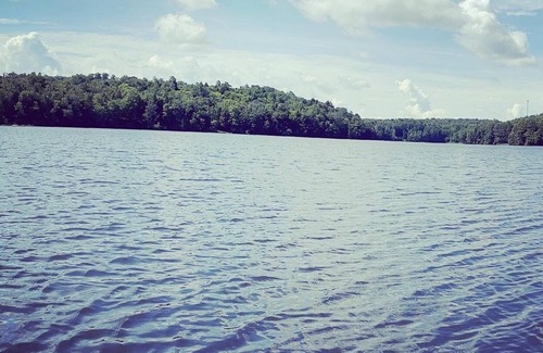 Laporte Cabaña | Lake Mokoma Cottage