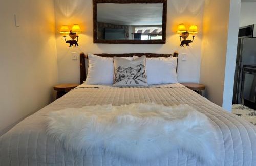 Lutsen Casa | Lake View Ski in Ski out Lutsen Mtn Pets Welcome
