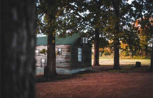 Mead Casa | Lakefront Cedar Cabin - 10