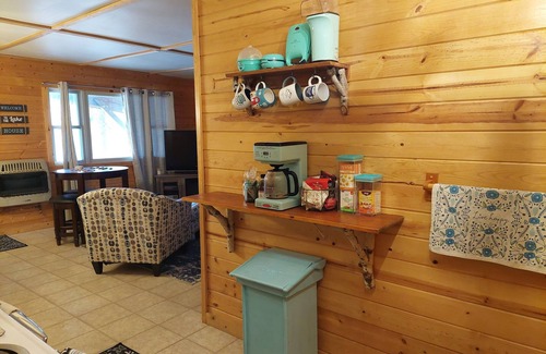 Reed City Cabina | Lakefront Oasis GameRm/Sauna/Fire-pit/DogFriendly/Fishing