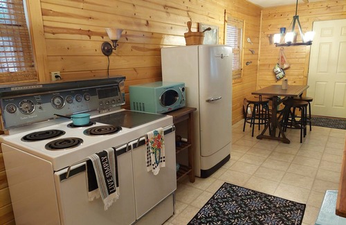 Reed City Cabina | Lakefront Oasis GameRm/Sauna/Fire-pit/DogFriendly/Fishing