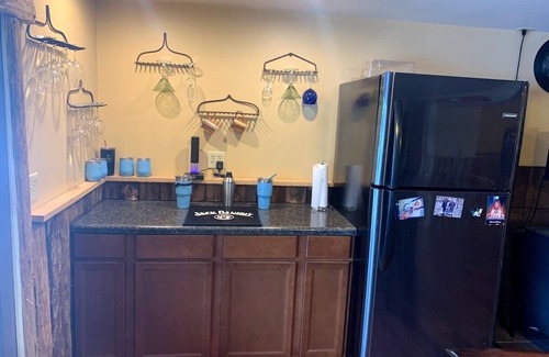 Pine River Casa | Lakehome w/HUGE SLIDE into lake, ski, tube, fish swim & near ski & snowmobiling