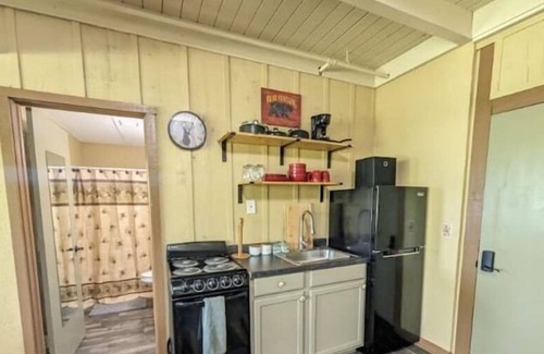 Hill City Apartamento | Lakeside Studio with Fireplace & Beautiful View!
