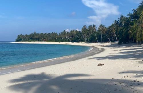 Katiet Casa | Lances right Surfhouse