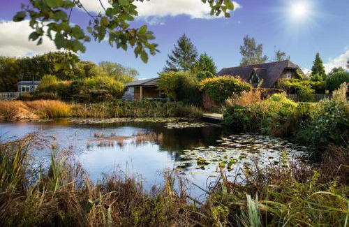 Badlesmere Casa | Landews Meadow Cottages