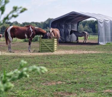 Municipality of Landerd Cama Y Desayuno | Landgoed de Bossenhoeve