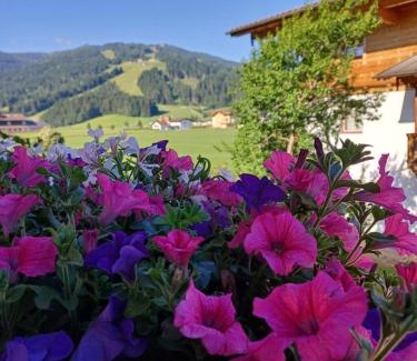 Am Feuersang Apartamento | Landhaus Fingerhof