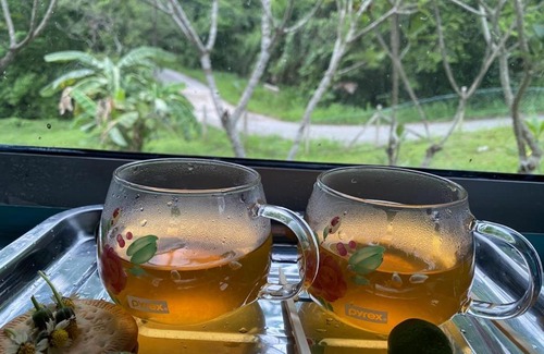 Air Hangat Casa | Langkawi Natural Villa