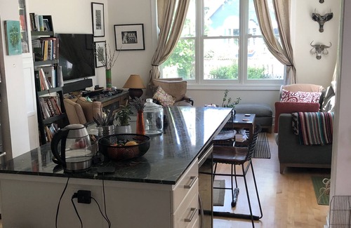 Edgewater Casa | Large 4 level frame home on leafy street in Chicago