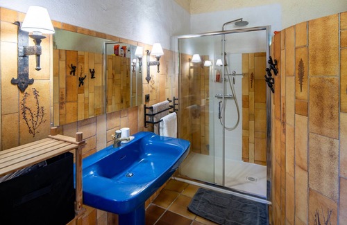 Ceret Otro | Mas catalán amplio en plena montaña con piscina, naturaleza y tranquilidad