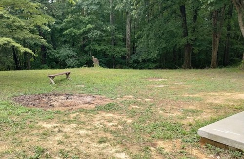 Somerset Alquiler De RV | Large private campsite within minutes of Lake Cumberland!