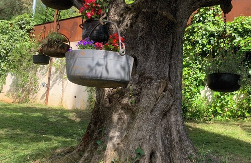 Chateauneuf-Grasse Villa | Large villa with home chef service