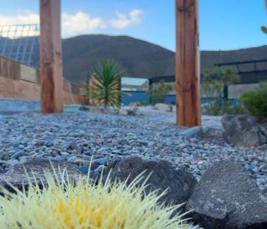 El Molle Apartamento | Las Alpinas del valle La serena Valle del Elqui