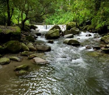 Minca Casa | Las Cabañas del Rio