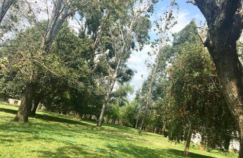 Gualeguaychú Casa | LAS MARGARITAS CASA DE CAMPO