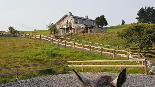 Waipu Apartamento | Laughing Horse Lodge - Animal friendly in Waipu