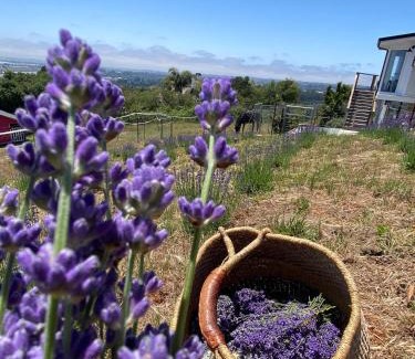 Watsonville Apartamento | Lavandine Farm