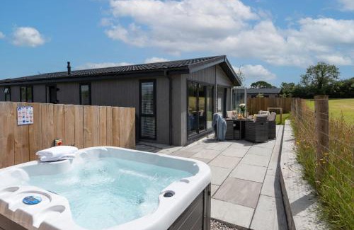 Lifton Casa | Lavender Lodge, 8 Roadford Lake Lodges