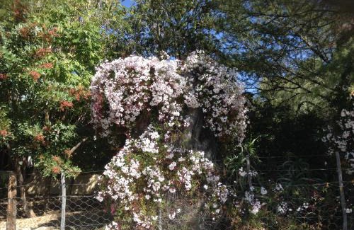 Prince Albert Apartamento | LAVENDERS COTTAGE