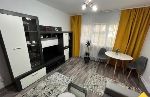 Tirgu Mures Apartamento | LC Accommodation Târgu Mureș V1