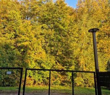 Strzelce Opolskie Apartamento | Leśne Zacisze