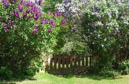 Villefranche-du-Perigord Casa | Le Chataignier Beautiful 16th Century Barn,