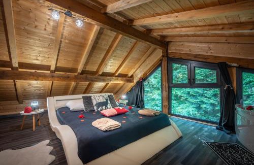 Renauvoid Chalet De Esquí | Le Chalet des Buch avec Spa - Terrasse - Parking - Clim - Wifi