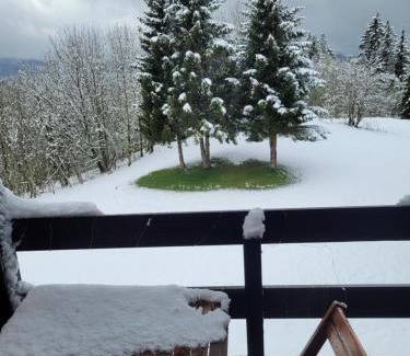 Les Rousses Apartamento | LE CHALET, Superbe Duplex Montagnard avec balcon, au calme - Les Rousses, Draps inclus & Parking gratuit