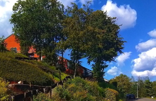 Membre Apartamento | Le Charme Ardennais au Cœur des Montagnes