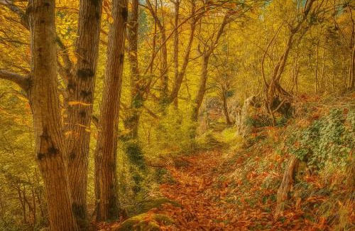 Barnas Casa | Le Charmelan