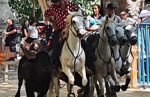 Bernis Cama Y Desayuno | Le Clos Des Aramons
