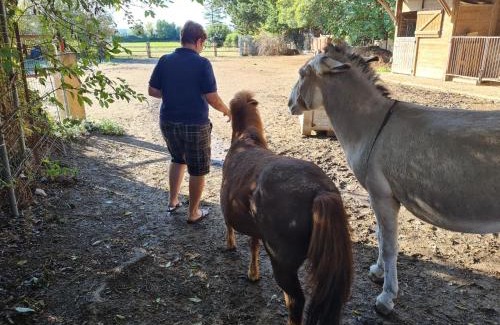 Bernis Cama Y Desayuno | Le Clos Des Aramons